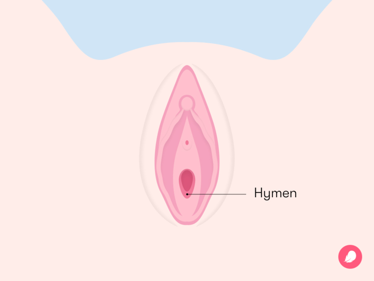 What is a hymen and what does it look like Flo